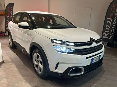 Citroën C5 Aircross 1.5 BlueHDi 130 CV Business 2022